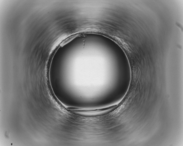 X0000093361422200710251121