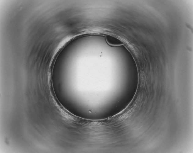 X0000093361424200710251121