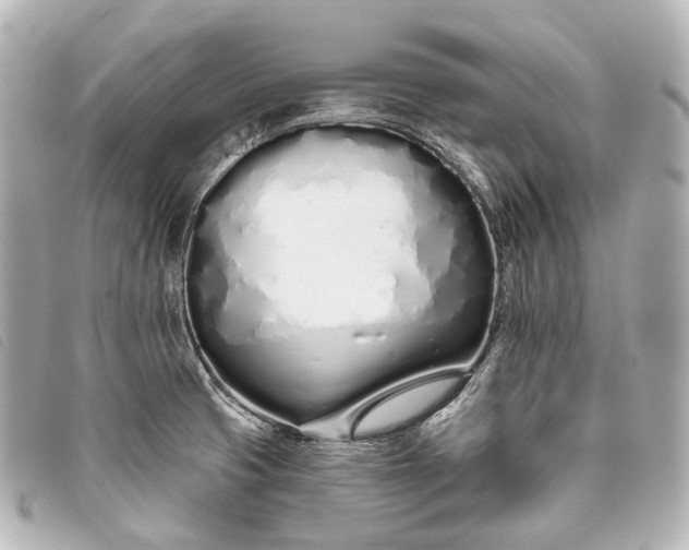 X0000093361425200710251121