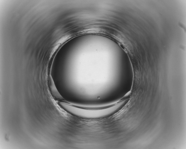 X0000093361426200710251121