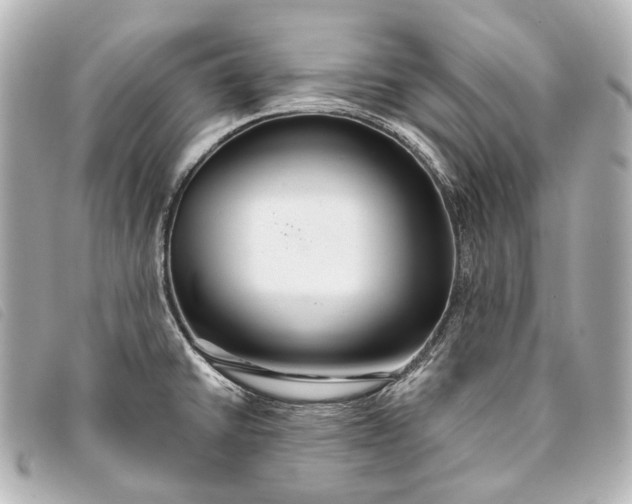 X0000093361430200710251121