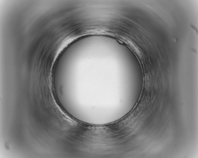 X0000093361432200710251121