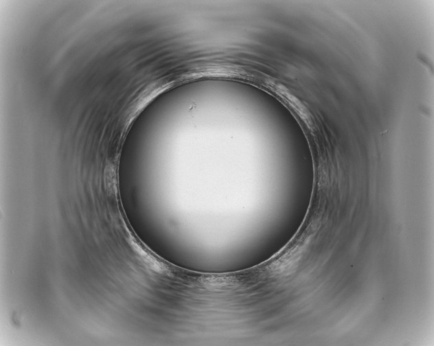 X0000093361433200710251121