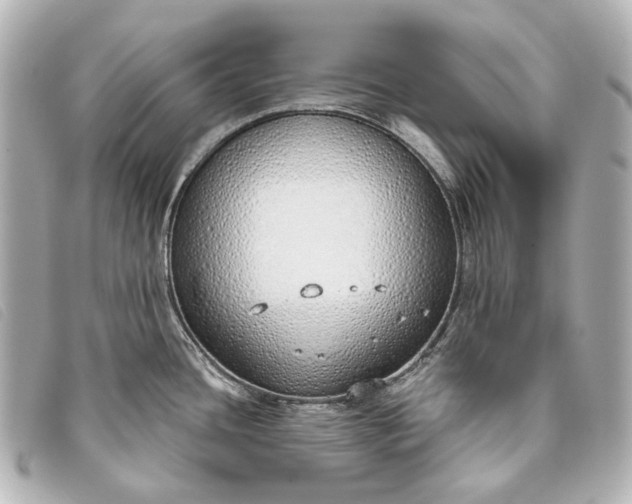 X0000093361436200710251121