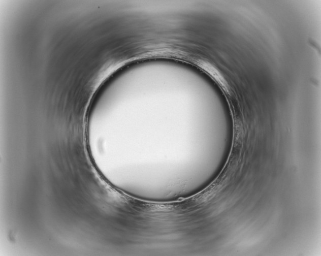X0000093361439200710251121