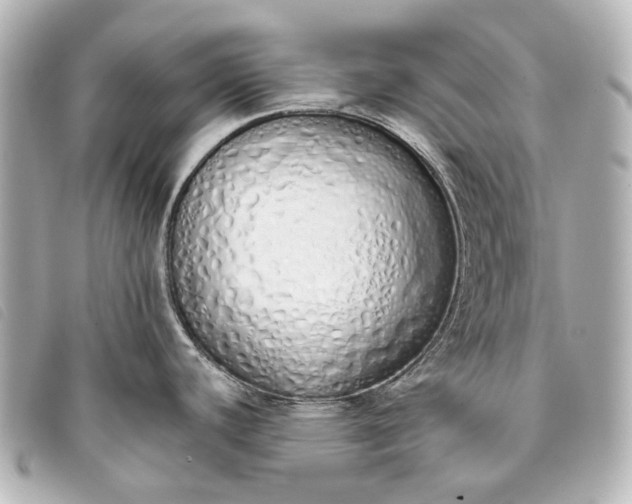 X0000093361440200710251121