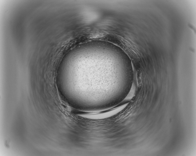X0000093361441200710251120