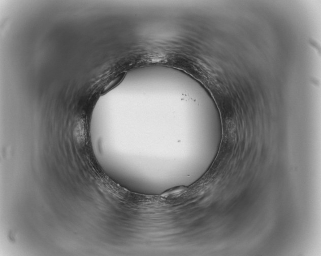 X0000093361442200710251120