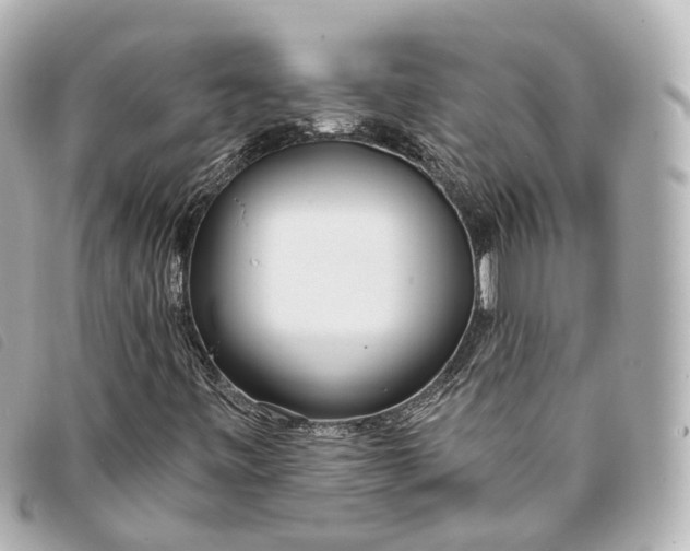 X0000093361443200710251120