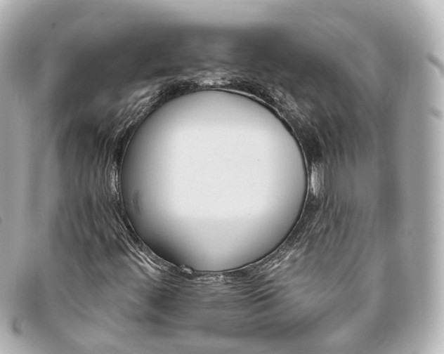 X0000093361444200710251120