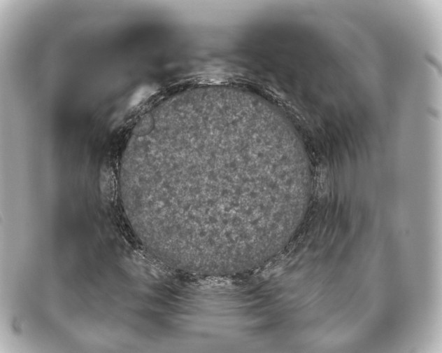 X0000093361446200710251120