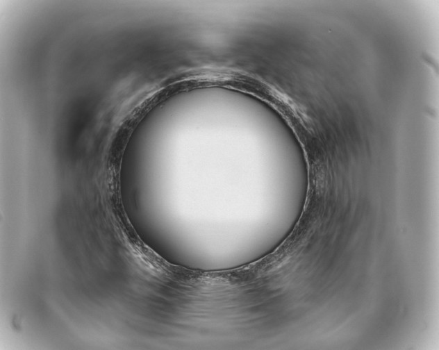 X0000093361448200710251120