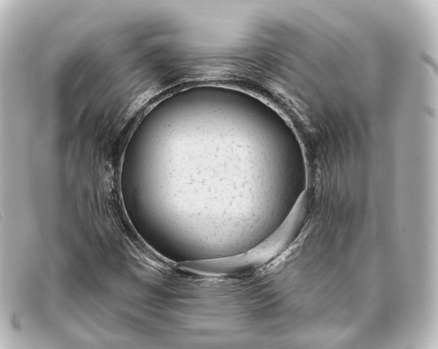 X0000093361449200710251120