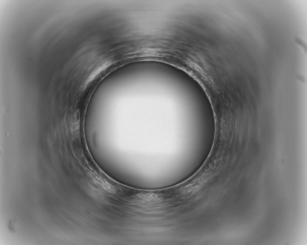 X0000093361450200710251120