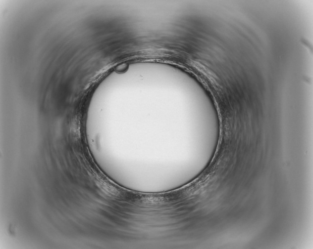 X0000093361451200710251120