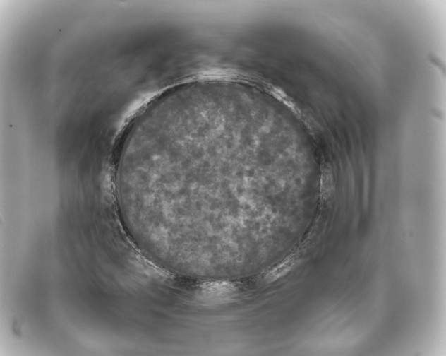 X0000093361454200710251120