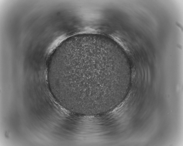 X0000093361455200710251120