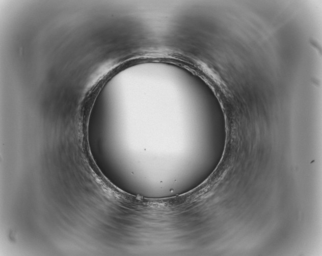 X0000093361456200710251120