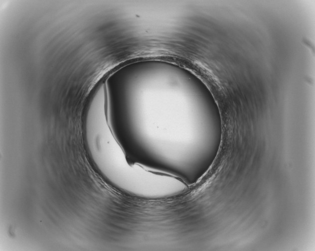 X0000093361457200710251120