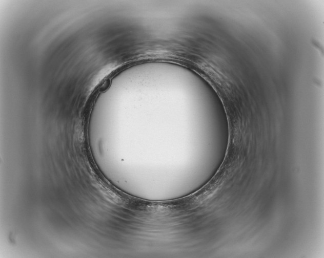 X0000093361458200710251120