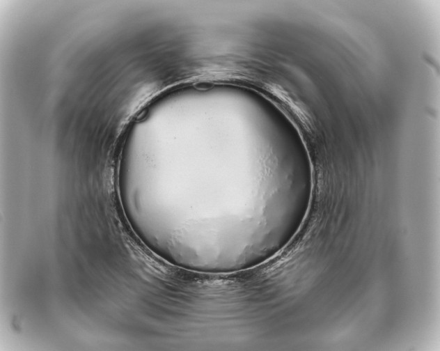 X0000093361459200710251120