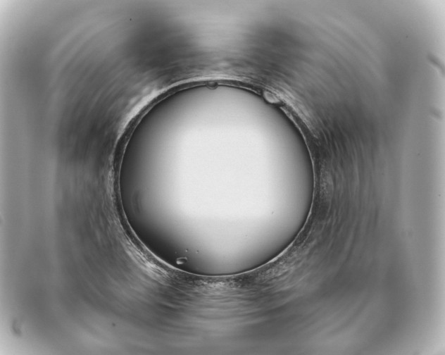 X0000093361460200710251120