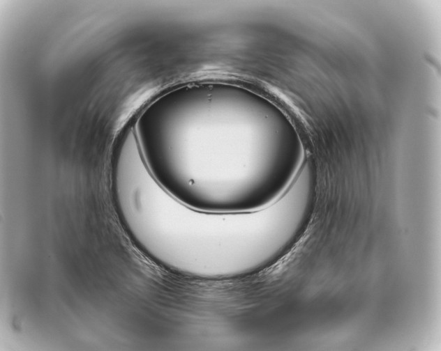 X0000093361461200710251120