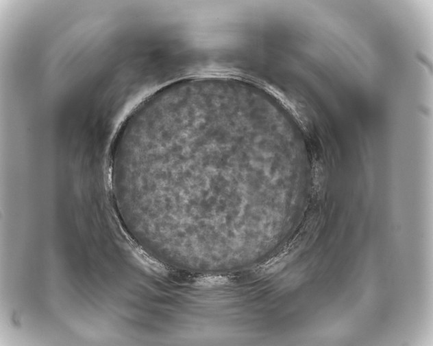 X0000093361462200710251120