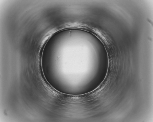 X0000093361463200710251120