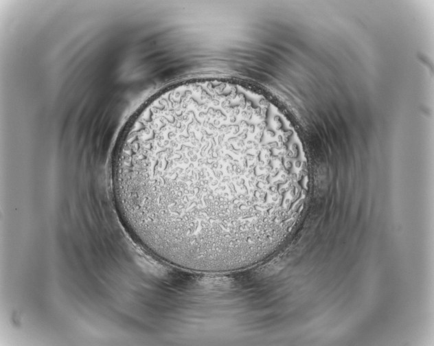 X0000093361466200710251120
