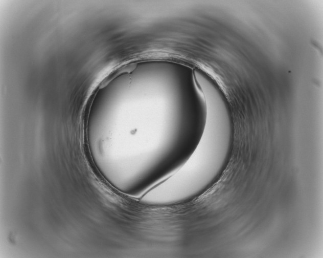 X0000093361467200710251120