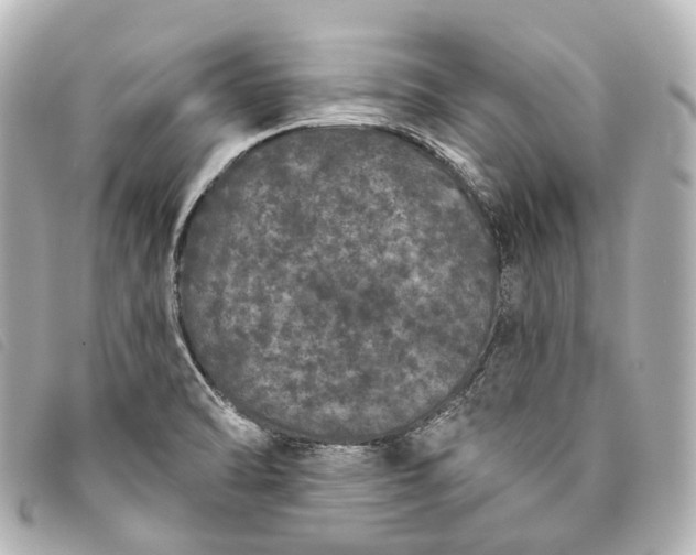 X0000093361470200710251120