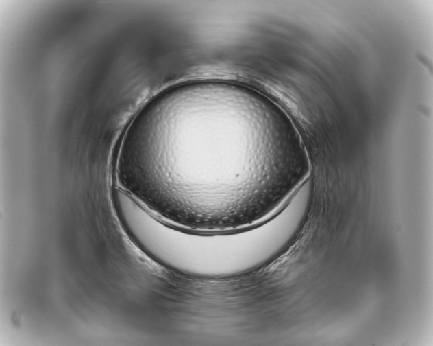 X0000093361471200710251120
