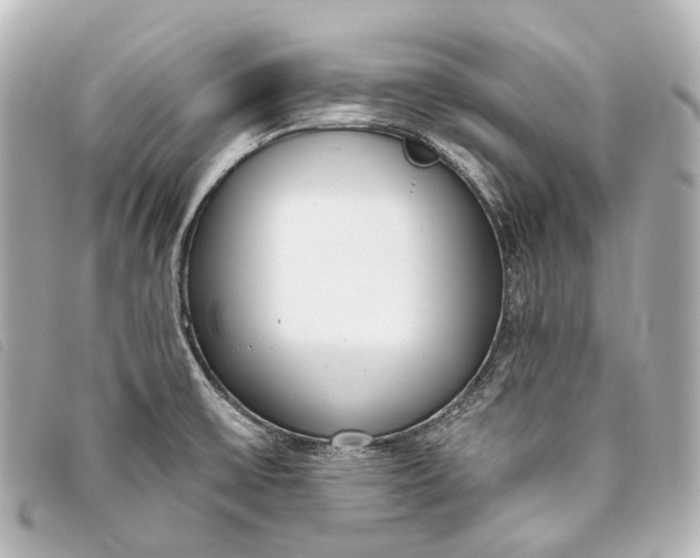 X0000093361475200710251120