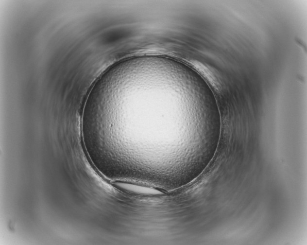 X0000093361476200710251120