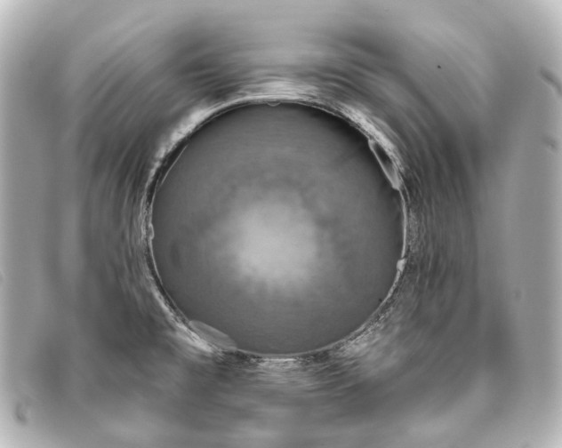 X0000093361477200710251120