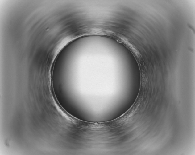 X0000093361479200710251120