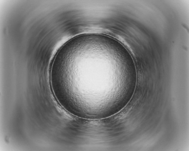 X0000093361480200710251120