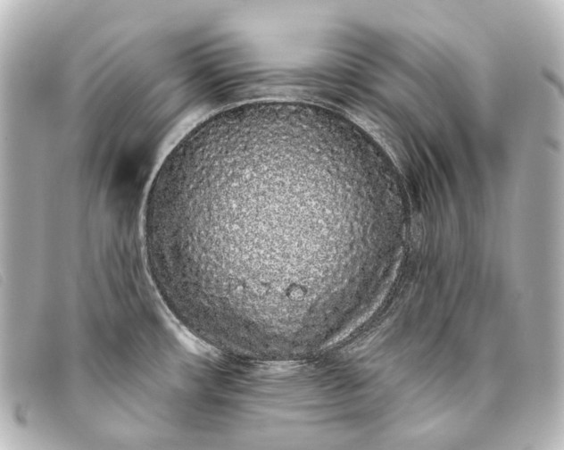 X0000093361482200710251120