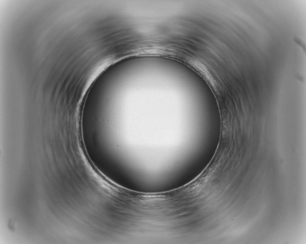 X0000093361483200710251120