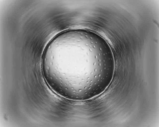 X0000093361484200710251120