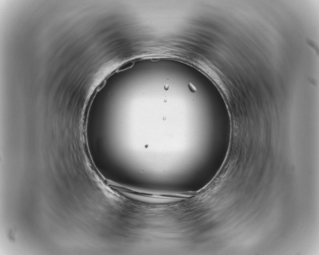 X0000093361485200710251120