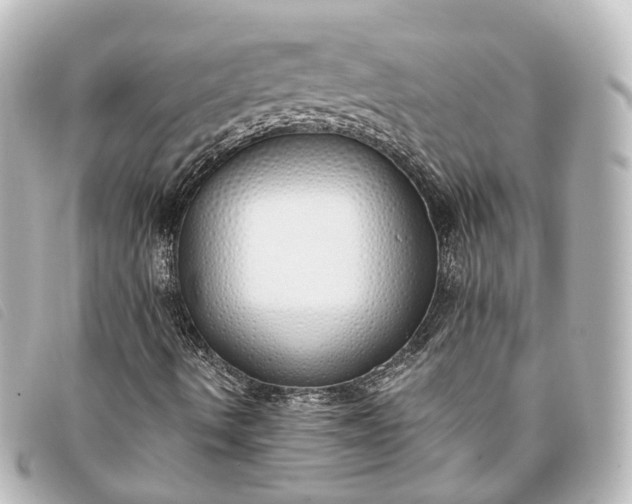 X0000093361490200710251119
