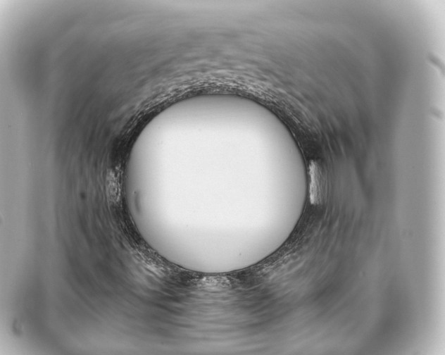 X0000093361491200710251119