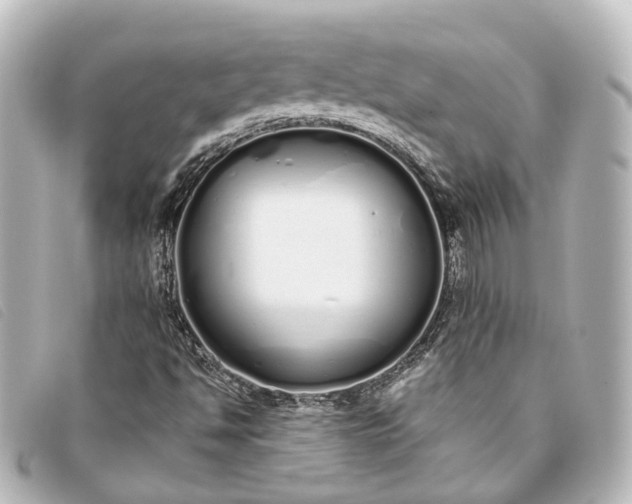 X0000093361494200710251119