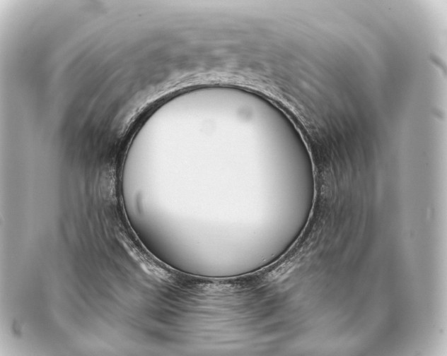 X0000093361499200710251119