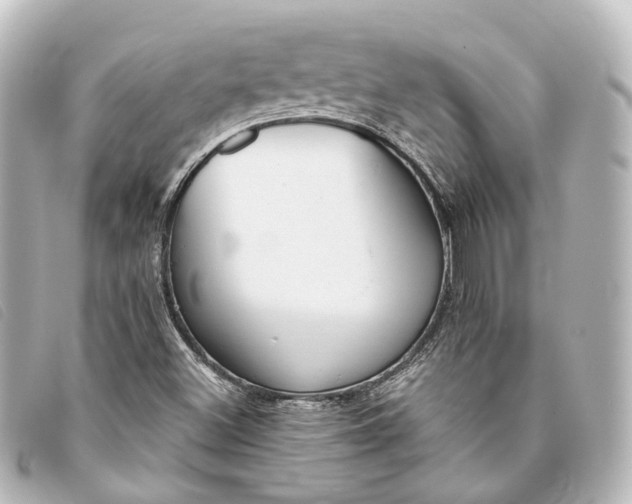 X0000093361500200710251119
