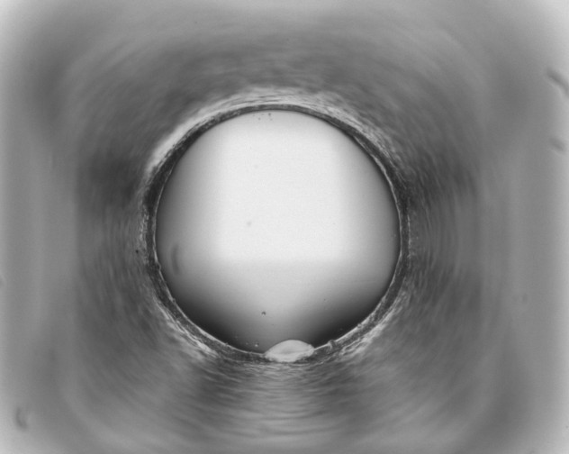 X0000093361502200710251119