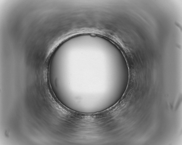 X0000093361504200710251119
