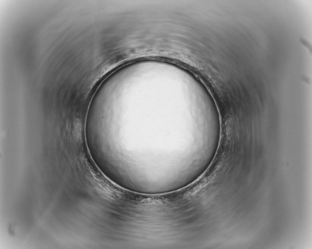X0000093361505200710251119